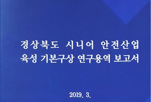 시니어 안전산업 기본 구상(2019.3 연구용역)